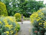Falkland Palace Garden