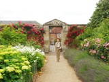 Wilton House Garden