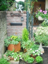 �}�C�K�[�f��