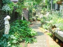 �}�C�K�[�f��