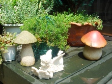 �}�C�K�[�f��