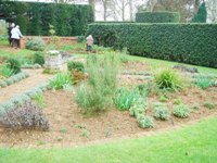 Coton Manor Garden