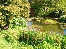 Coleton Fishacre Garden
