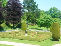 Lanhydrock Garden