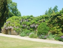 Pencarrow Garden