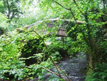 Packhorse Bridge