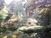Biddulph Grange Garden