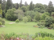 Killerton garden