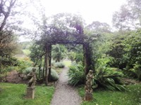 Lisselan Gardens
