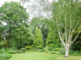 Beth Chatto Gardens