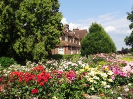 Gardens of the Rose