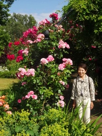 Gardens of the Rose