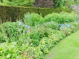 Greenbank Garden