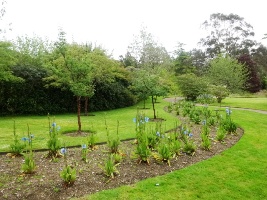 Crarae Garden