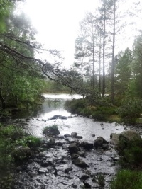 Loch an Eilein