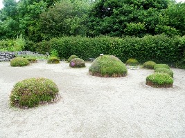 Brigit's Garden
